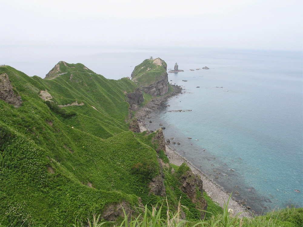 kamome